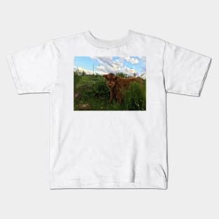 Scottish Highland Cattle Calf 1773 Kids T-Shirt